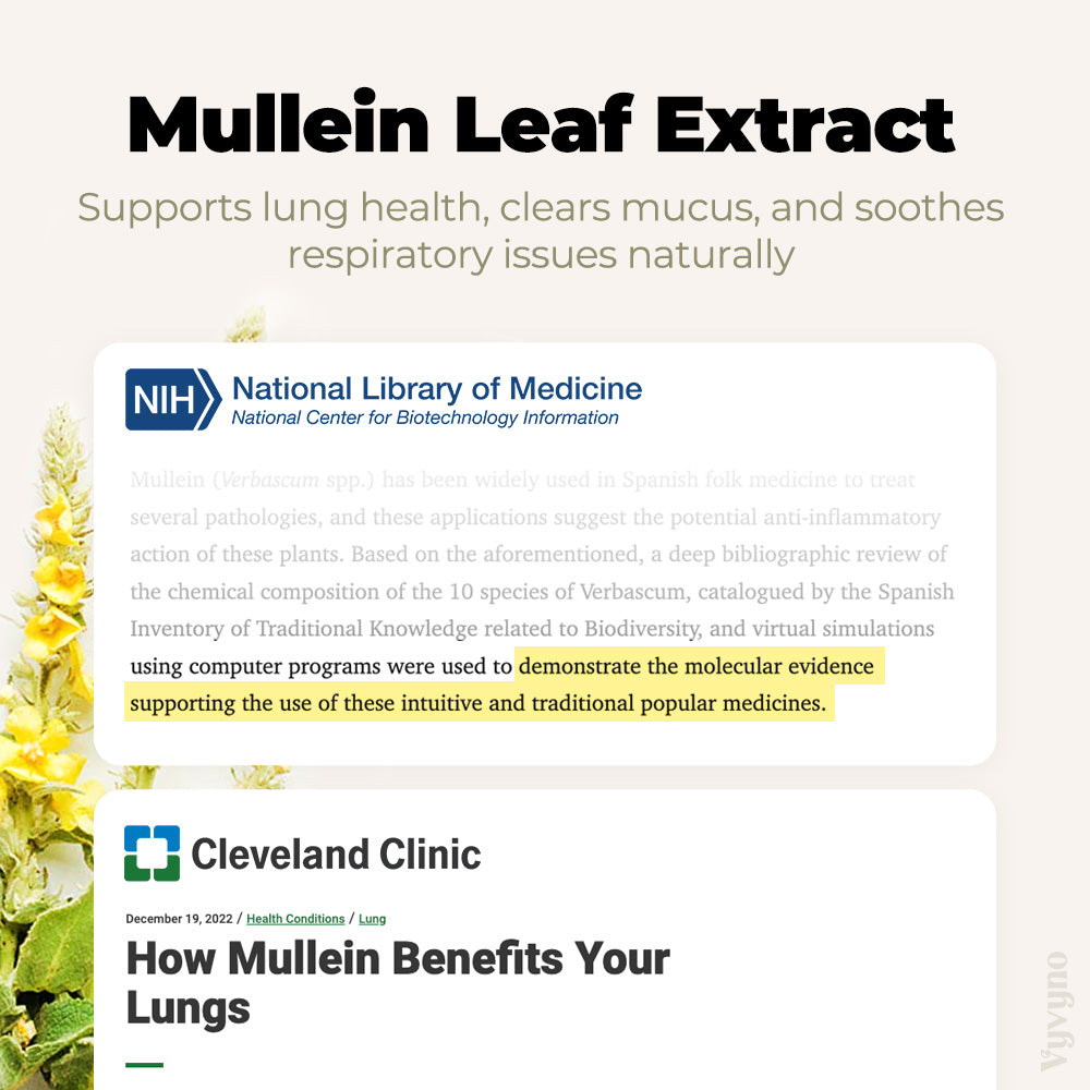 Mullein Leaf Extract 60ml