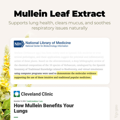 Mullein Leaf Extract 60ml